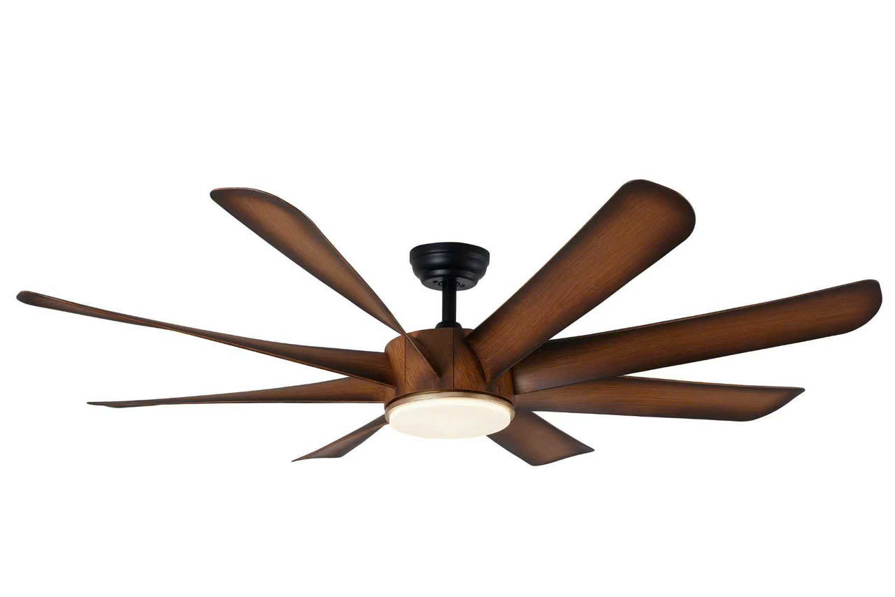 Airfusion Akamani Queen-B