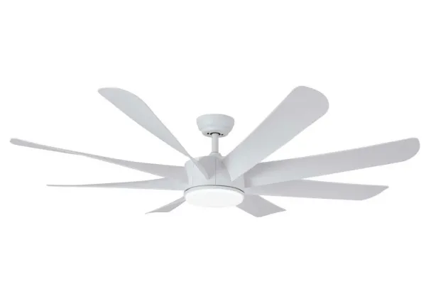 Airfusion Akamani Queen-W